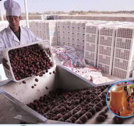 Jujube Juice Production Line /Jujube Paste Production Plant