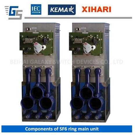 Drive mechanism and gas tank for SF6 insulated ring main unit 