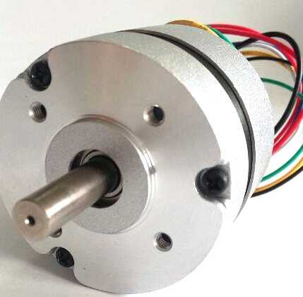 DC Brushless Motor 36V 4000rpm / Jk57bls005