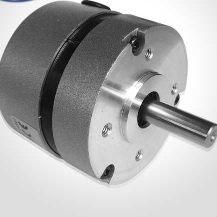 57mm Brushless DC Motor 57bls005 36V Micro Motor