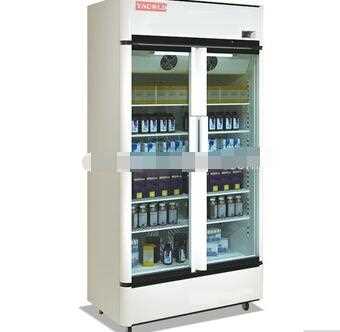 new design Double-door refrigerator