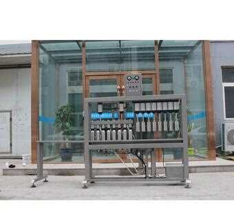 HZ-GY-8 Beer bottle filling and capping machine equipment