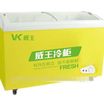 269L Sliding Door Ice Cream Freezer 