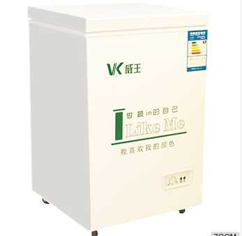 Vertical freezer for home appliance 
