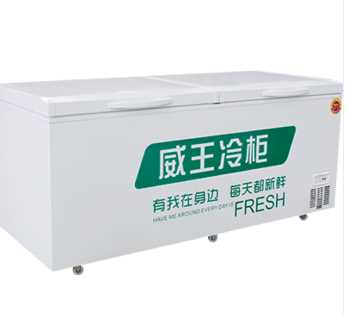 Rechargeable battery freezer