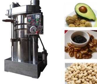 home olive oil press/cold olive oil press/mini olive oil machine