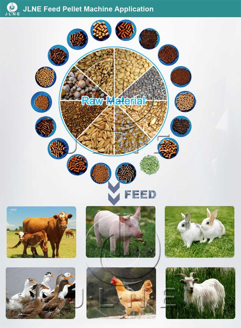 JLNE feed pellet mill application