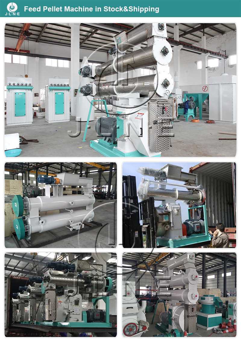 JLNE fish feed machine