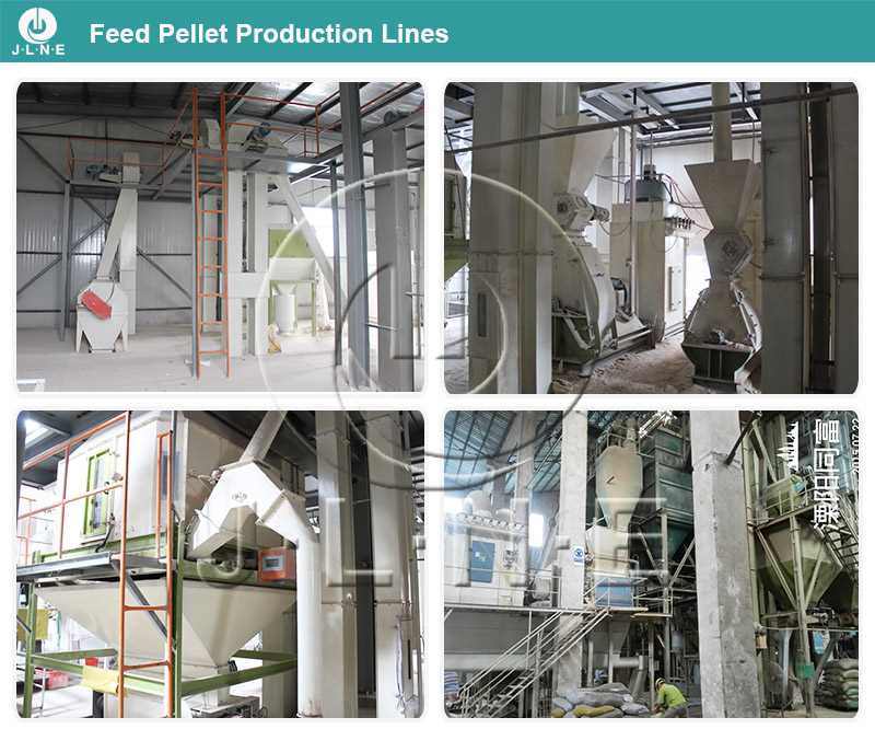 JLNE fish feed machine