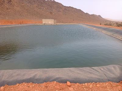 LDPE Geomembrane