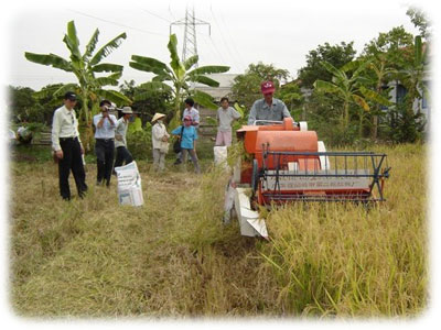 Driving Type Small Rice Combine Harvester