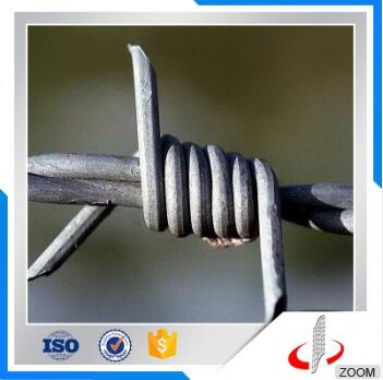 Anping Factory Welded Concertina Barbed Wire