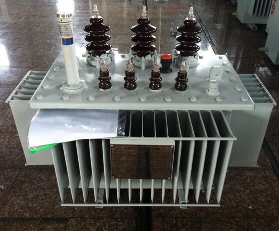 11kv Three Phase Power Frequency Oil Immersed Distribution Transformer