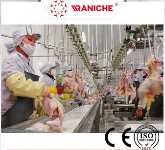 Slaughter Equipment Halal Poultry Chicken Slaughter Line Halal Poultry Chicken Slaughter Line