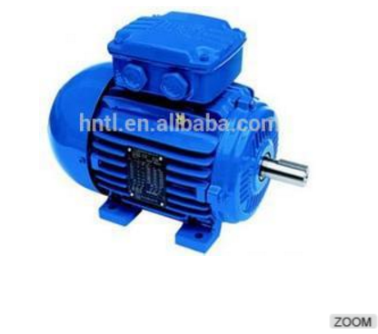asynchronous motor Three phase induction electric motor Squirrel cage motor