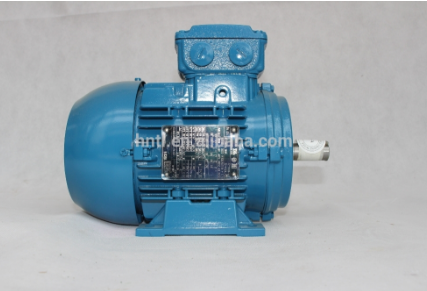 asynchronous motor Three phase induction electric motor Squirrel cage motor