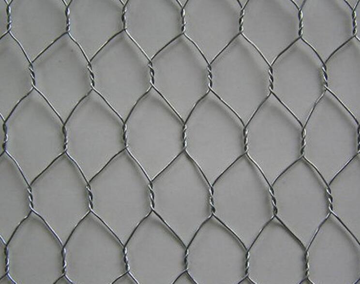 Hot Dipped Galvanized hexagonal wire mesh