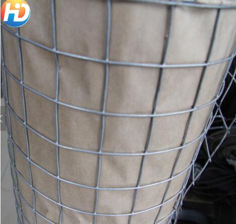 Hot dipped galvanized welded wire mesh