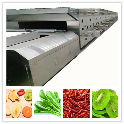 SAIHENG Durable Commercial Conveyor Gas Pizza Oven