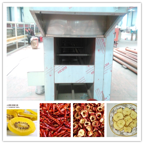 SAIHENG Durable Commercial Conveyor Gas Pizza Oven