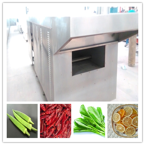 SAIHENG Durable Commercial Conveyor Gas Pizza Oven