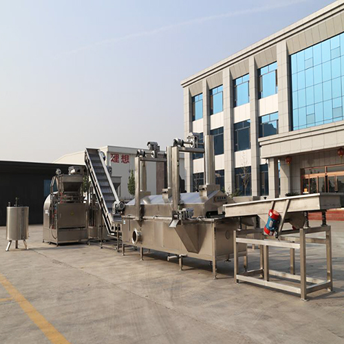 Snacks Frying Machine/Snacks Fryer/Fried Food Machine