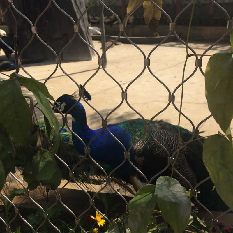 AISI 316 stainless steel ferrule architecture cable mesh