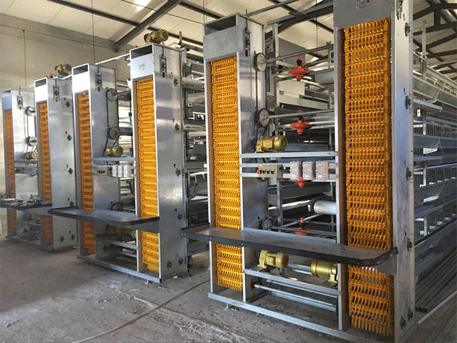 Hot Galvanized Automatic Chicken Cage/Poultry Farm House Design  custom steel structure chicken house  chicken house for sale