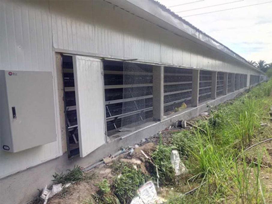 Hot Galvanized Automatic Chicken Cage/Poultry Farm House Design custom