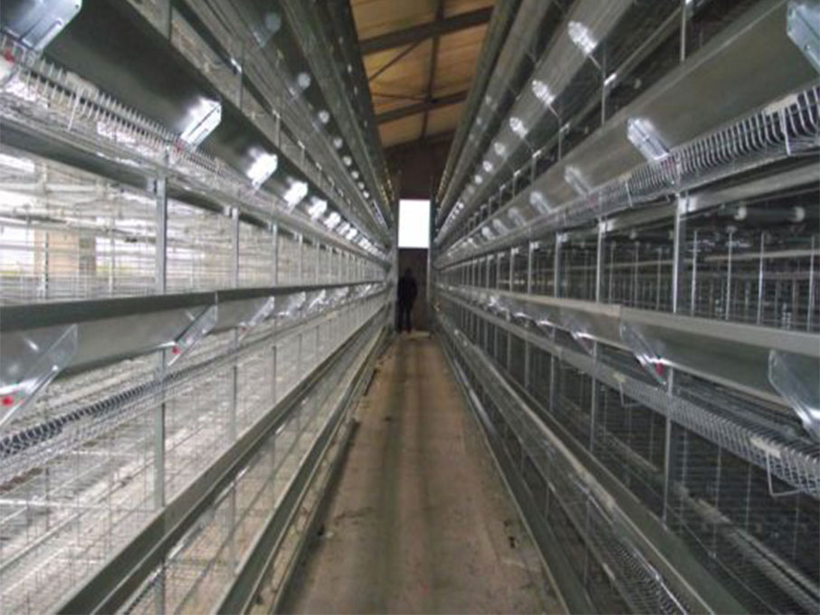 Hot Galvanized Automatic Chicken Cage/Poultry Farm House Design  custom steel structure chicken house  chicken house for sale